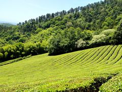 -敬亭山风景名胜区