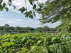 -八卦田遗址公园
