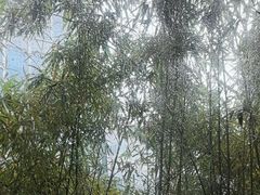 -梅花境(万科店)