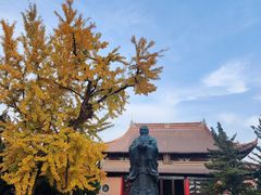 -苏州文庙(姑苏区)