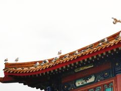 -蓬莱仙岛