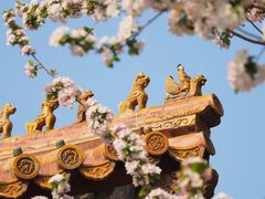 -故宫博物院(故宫)