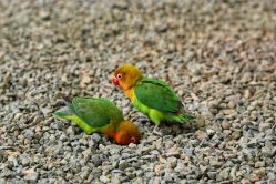 -萌宠亲子动物乐园(槐房万达店)