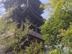 -杭州半山国家森林公园