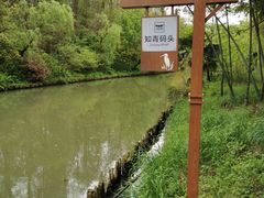 -同里国家湿地公园