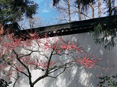 -岳王庙