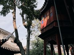 -东山雕花楼