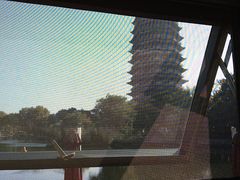 -听松楼·花园酒店·自助餐厅(红梅公园店)