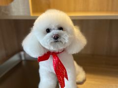 -熊小胖宠物生活馆(天华园店)