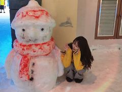 -世界之窗阿尔卑斯冰雪世界
