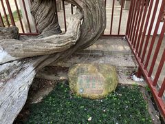 -郑和公园