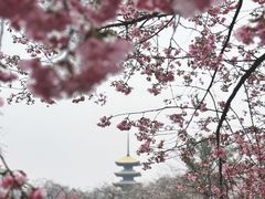 -东湖生态旅游风景区