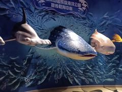 -烟台海昌鲸鲨海洋公园
