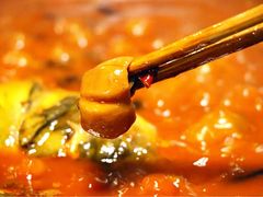 -易门野生菌府·菌海森林(月牙潭公园店)