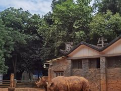 -昆明动物园