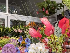 -FEI FEI FLOWER鲜花店·气球派对·宝宝宴布置(虹口德必运动Loft店)