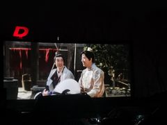 -枫花园汽车电影院(朝阳公园店)