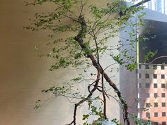 -物心空间