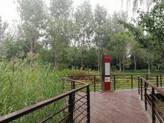 -东升文体公园