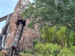 -奥兰多迪士尼动物王国乐园