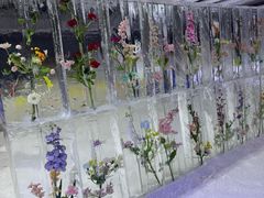 -宁波冰雪大世界(北仑区)