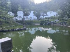 -深圳国际园林花卉博览园