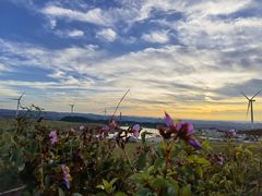 -龙里油画大草原旅游区