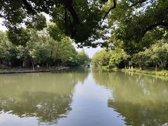 -西溪国家湿地公园