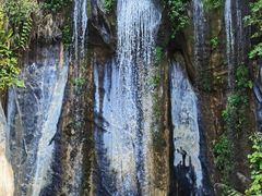 -西双版纳原始森林公园