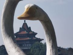 -顺峰山公园