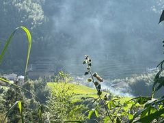-南靖田螺坑土楼群景区