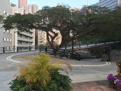 -香港大学