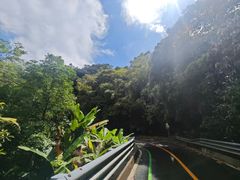 -海南热带雨林国家公园吊罗山景区