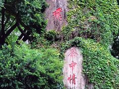 -雁南飞茶田景区
