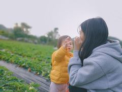 -广州市帽峰山景区