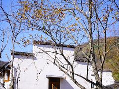 -塔川景区