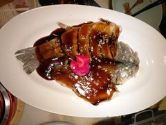 -绿茶餐厅(西单老佛爷店)