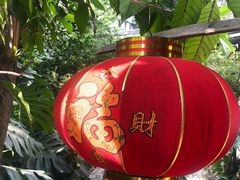 -有红鸡毛店·川菜(建设路店)