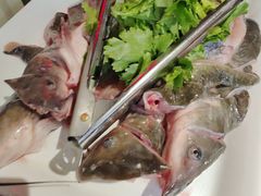 -蜀滋香鲜鱼美蛙火锅(339店)