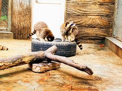 -西安秦岭野生动物园