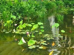 -活水公园