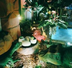 -恐龙探索乐园(磁器口店)