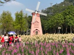-顺峰山公园