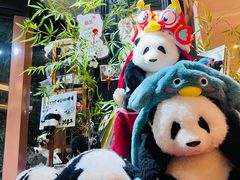 -轩客会(熊猫书店)