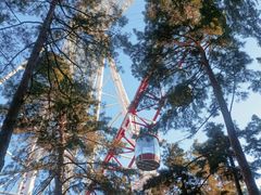 -哈尔滨文化公园