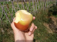 -意大利农场度假村