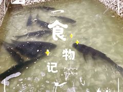 -陈大锅·岳阳鱼馆·地道岳阳菜(美食街店)