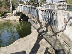 -团结湖公园