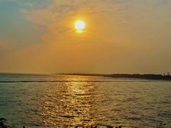 -贡湖湾湿地公园