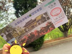 -金龙寺国家森林公园